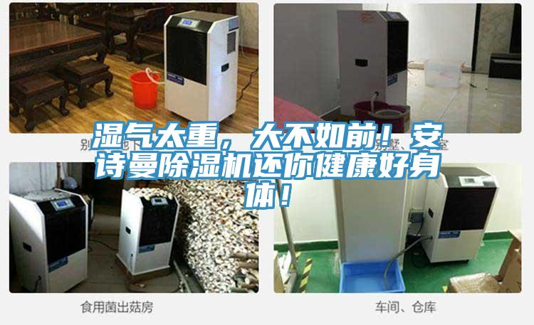 濕氣太重，大不如前！安詩曼除濕機還你健康好身體！