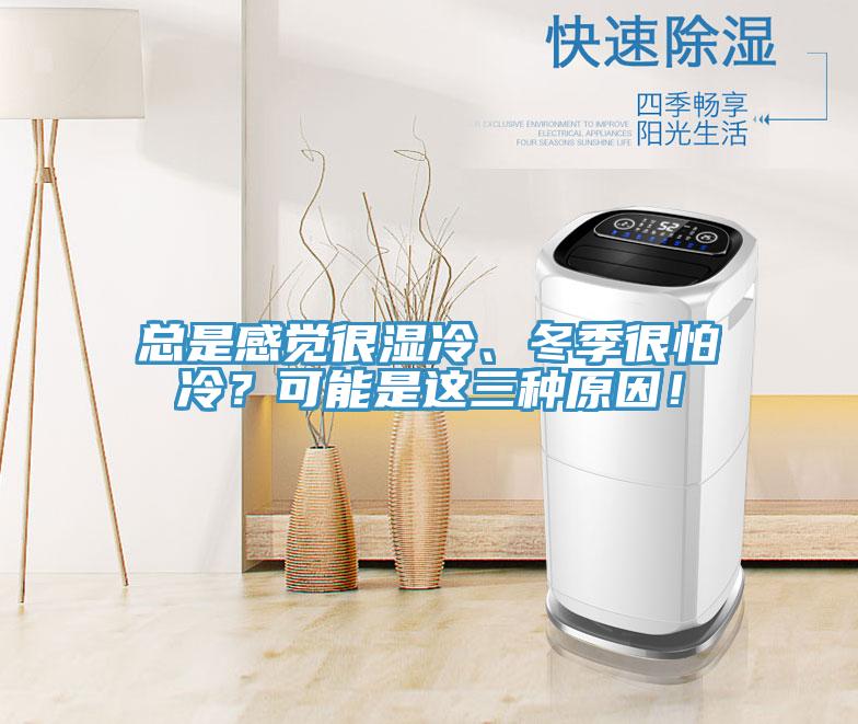 總是感覺(jué)很濕冷、冬季很怕冷？可能是這三種原因！