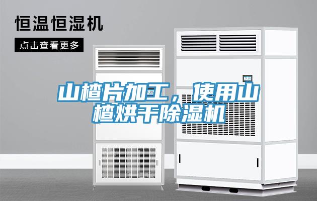山楂片加工，使用山楂烘干除濕機