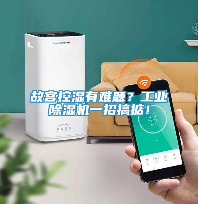 故宮控濕有難題？工業(yè)除濕機一招搞掂！