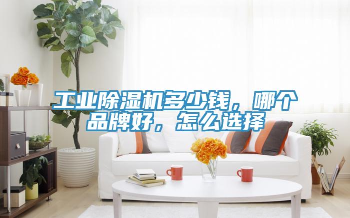 工業(yè)除濕機(jī)多少錢(qián)，哪個(gè)品牌好，怎么選擇