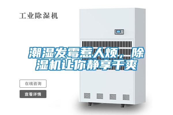 潮濕發(fā)霉惹人煩，除濕機讓你靜享干爽