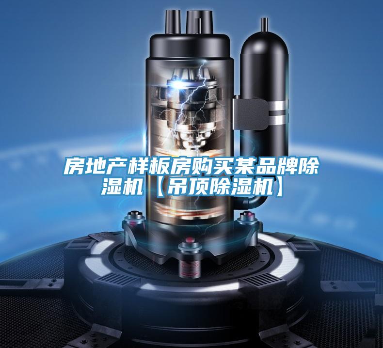 房地產(chǎn)樣板房購(gòu)買(mǎi)某品牌除濕機(jī)【吊頂除濕機(jī)】