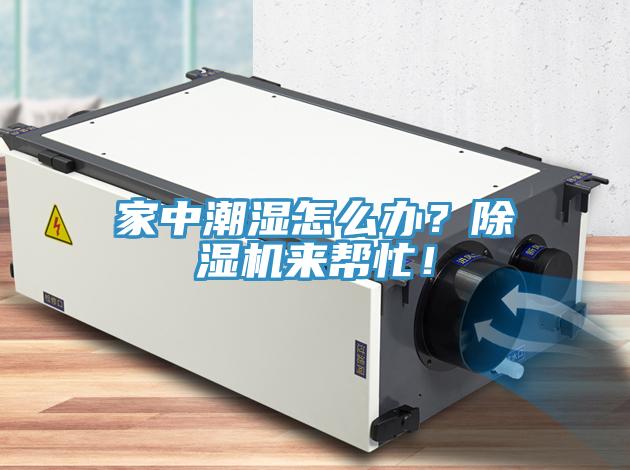 家中潮濕怎么辦？除濕機(jī)來(lái)幫忙！
