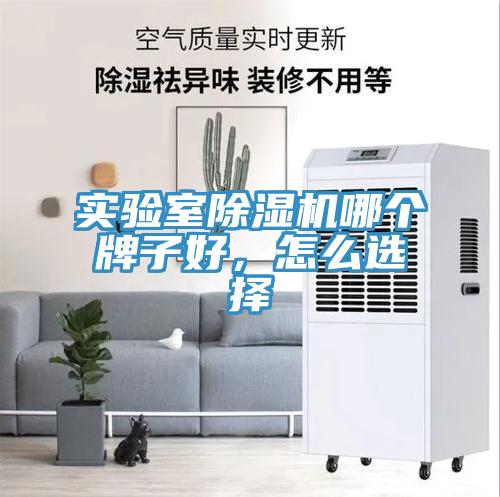 實(shí)驗(yàn)室除濕機(jī)哪個(gè)牌子好，怎么選擇