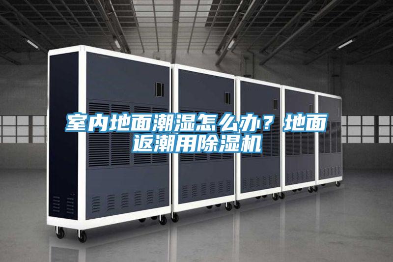 室內(nèi)地面潮濕怎么辦？地面返潮用除濕機(jī)