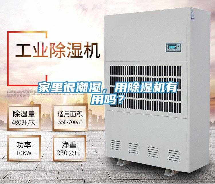 家里很潮濕，用除濕機(jī)有用嗎？