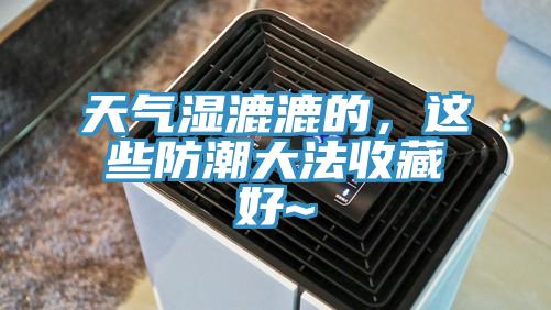 天氣濕漉漉的，這些防潮大法收藏好~