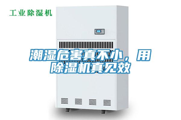 潮濕危害真不小，用除濕機真見效
