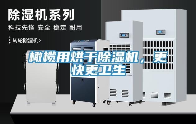 橄欖用烘干除濕機，更快更衛(wèi)生