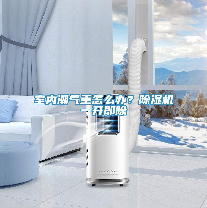室內(nèi)潮氣重怎么辦？除濕機(jī)一開即除