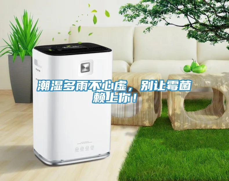潮濕多雨不心虛，別讓霉菌賴上你！