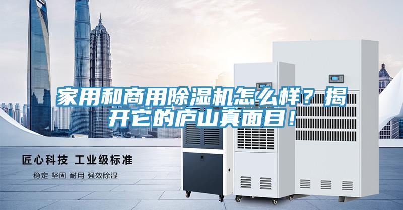 家用和商用除濕機怎么樣？揭開它的廬山真面目！