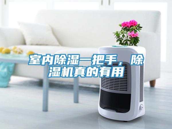 室內(nèi)除濕一把手，除濕機(jī)真的有用