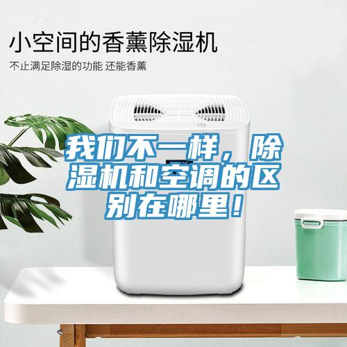我們不一樣，除濕機和空調(diào)的區(qū)別在哪里！