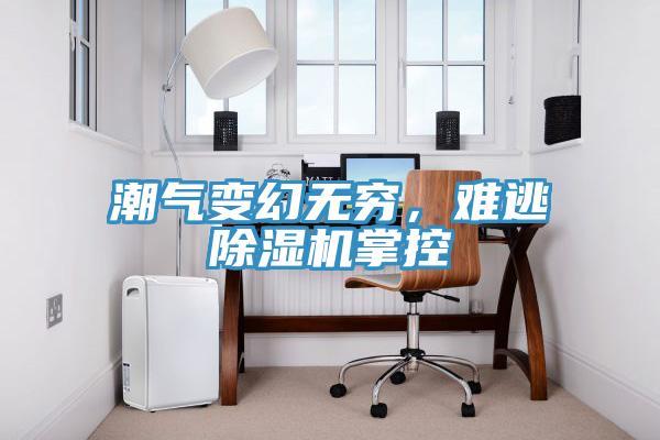 潮氣變幻無(wú)窮，難逃除濕機(jī)掌控