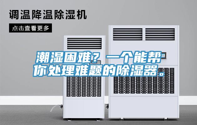 潮濕困難？一個(gè)能幫你處理難題的除濕器。