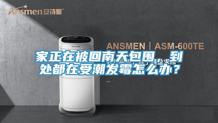 家正在被回南天包圍，到處都在受潮發(fā)霉怎么辦？