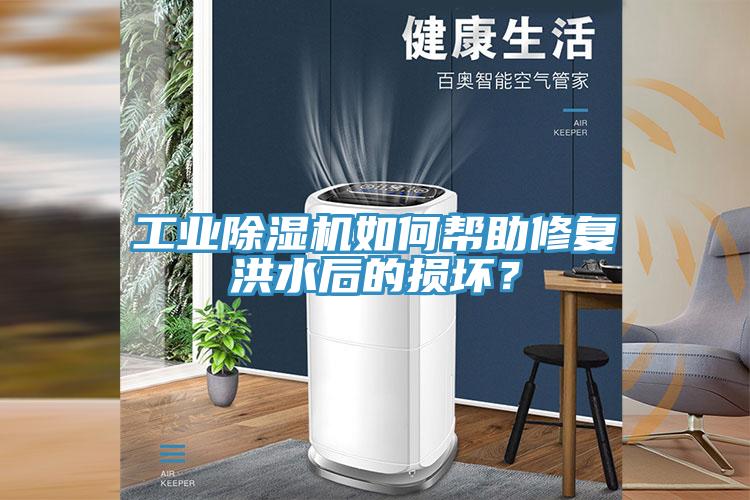 工業(yè)除濕機(jī)如何幫助修復(fù)洪水后的損壞？