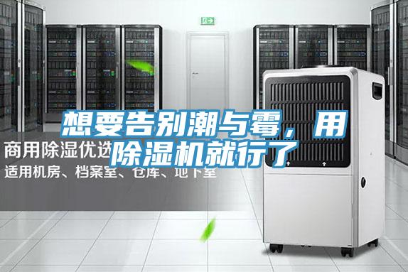 想要告別潮與霉，用除濕機就行了