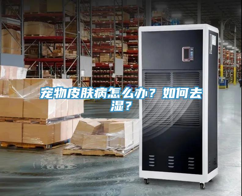 寵物皮膚病怎么辦？如何去濕？