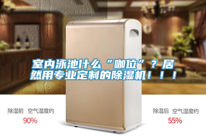 室內(nèi)泳池什么“咖位”？居然用專業(yè)定制的除濕機?。。?/></p>
                            <p style=