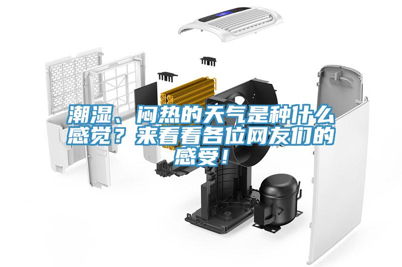 潮濕、悶熱的天氣是種什么感覺？來看看各位網(wǎng)友們的感受！
