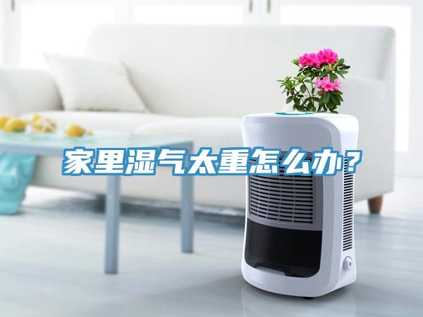 家里濕氣太重怎么辦？