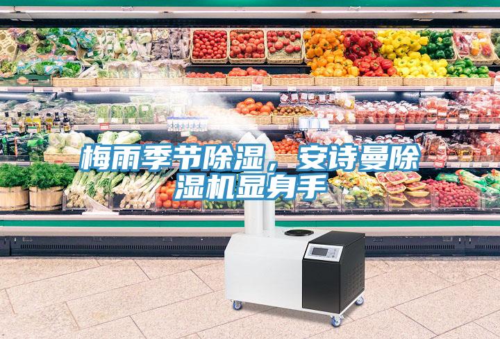 梅雨季節(jié)除濕，安詩曼除濕機(jī)顯身手