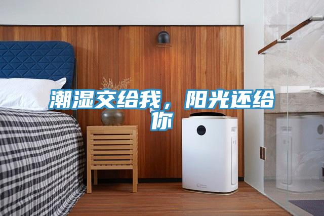潮濕交給我，陽光還給你