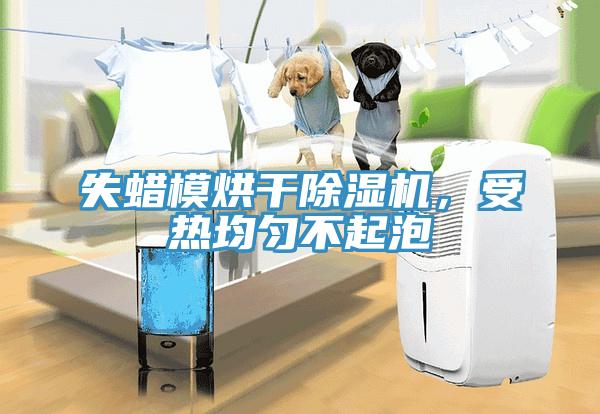 失蠟?zāi)：娓沙凉駲C(jī)，受熱均勻不起泡