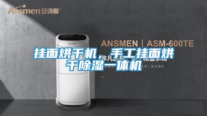掛面烘干機，手工掛面烘干除濕一體機