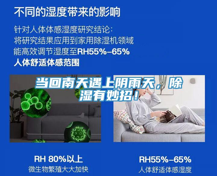 當(dāng)回南天遇上陰雨天，除濕有妙招！