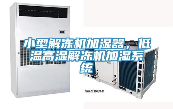 小型解凍機(jī)加濕器，低溫高濕解凍機(jī)加濕系統(tǒng)