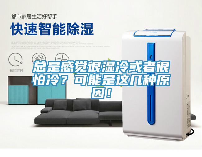 總是感覺很濕冷或者很怕冷？可能是這幾種原因！