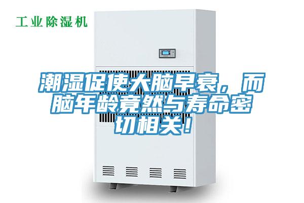 潮濕促使大腦早衰，而腦年齡竟然與壽命密切相關(guān)！
