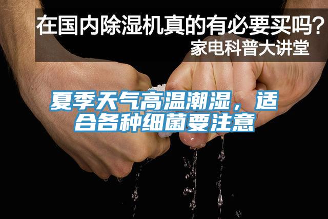 夏季天氣高溫潮濕，適合各種細菌要注意