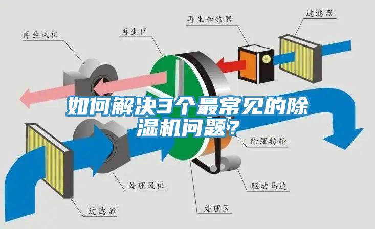 如何解決3個最常見的除濕機問題？