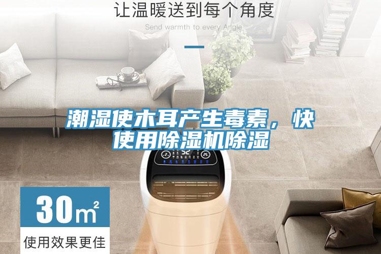 潮濕使木耳產(chǎn)生毒素，快使用除濕機除濕