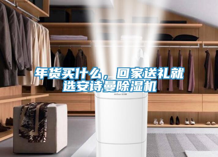 年貨買什么，回家送禮就選安詩曼除濕機