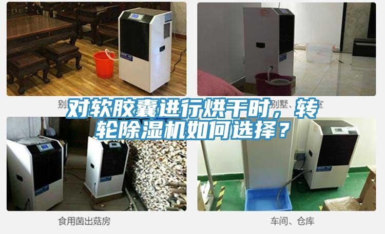 對軟膠囊進(jìn)行烘干時，轉(zhuǎn)輪除濕機(jī)如何選擇？