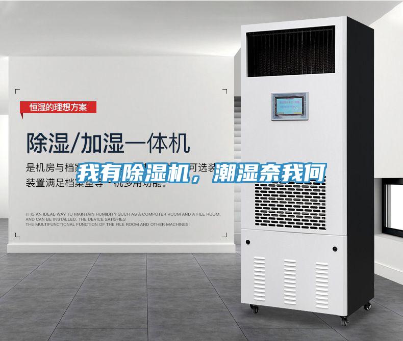 我有除濕機，潮濕奈我何