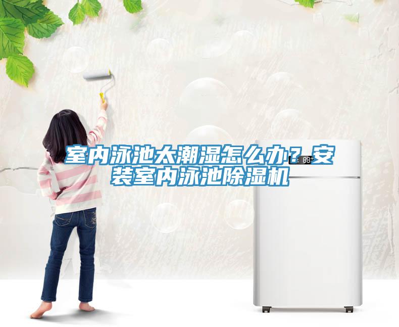 室內(nèi)泳池太潮濕怎么辦？安裝室內(nèi)泳池除濕機(jī)
