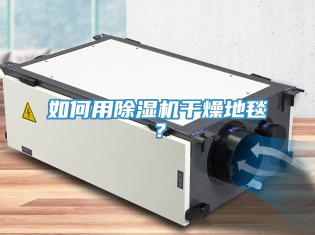 如何用除濕機干燥地毯？