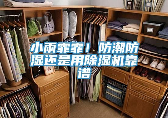 小雨霏霏！防潮防濕還是用除濕機(jī)靠譜