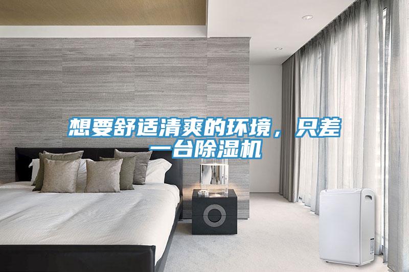 想要舒適清爽的環(huán)境，只差一臺除濕機