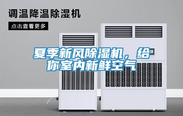 夏季新風除濕機，給你室內(nèi)新鮮空氣