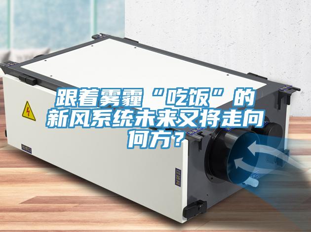 跟著霧霾“吃飯”的新風系統(tǒng)未來又將走向何方？