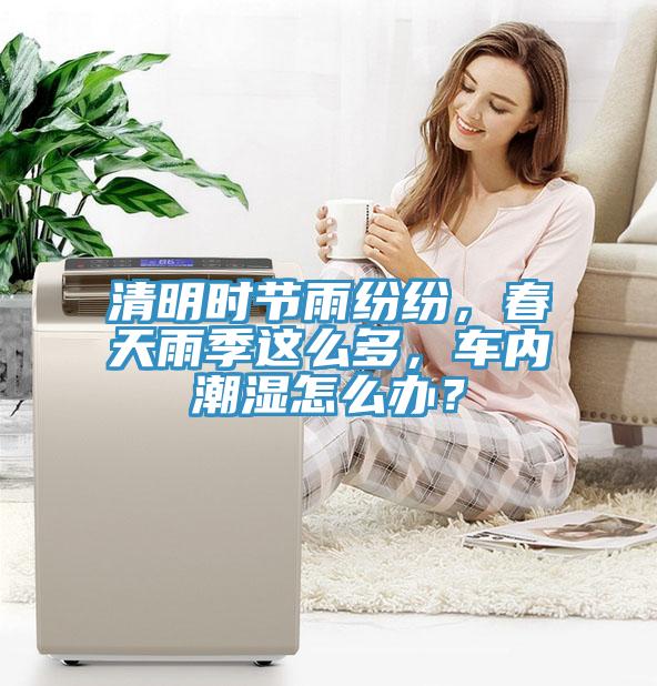 清明時節(jié)雨紛紛，春天雨季這么多，車內(nèi)潮濕怎么辦？
