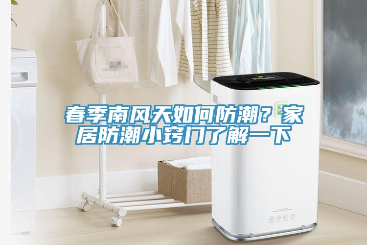 春季南風(fēng)天如何防潮？家居防潮小竅門了解一下